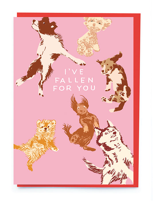 Dogs Falling Valentine